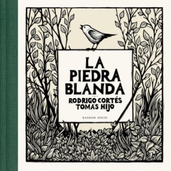 La piedra blanda